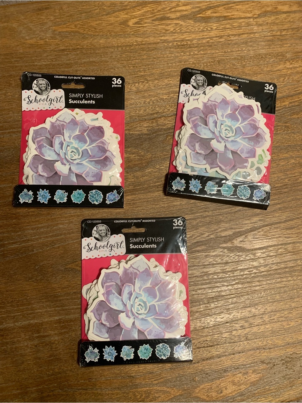 New School Girl Style Simply Stylish Succulents Colorful Cut Outs Set of 3